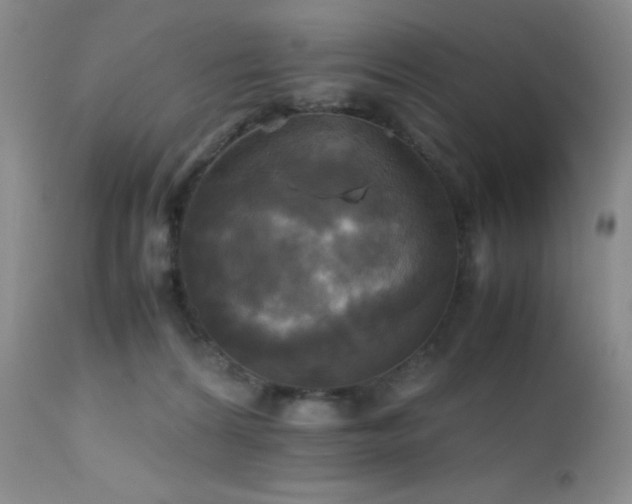 X0000112970224200908271150