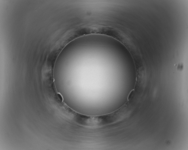 X0000112970225200908271150