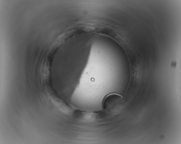 X0000112970226200908271150