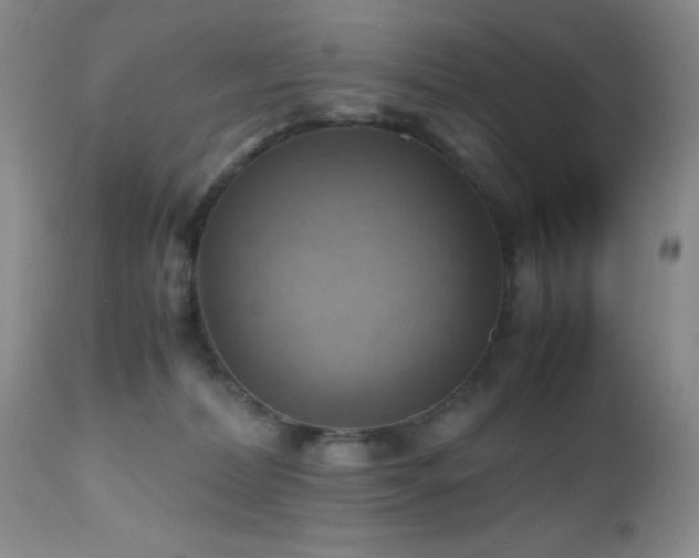 X0000112970228200908271150