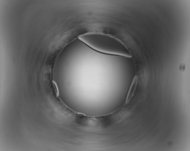 X0000112970229200908271150