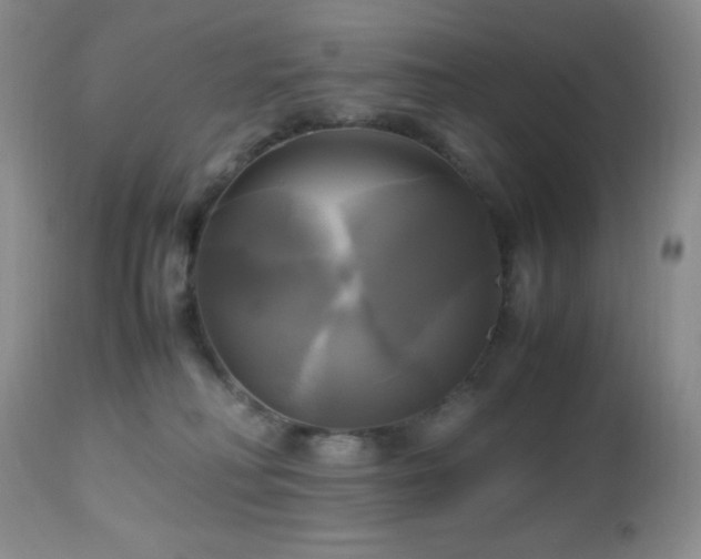 X0000112970230200908271150