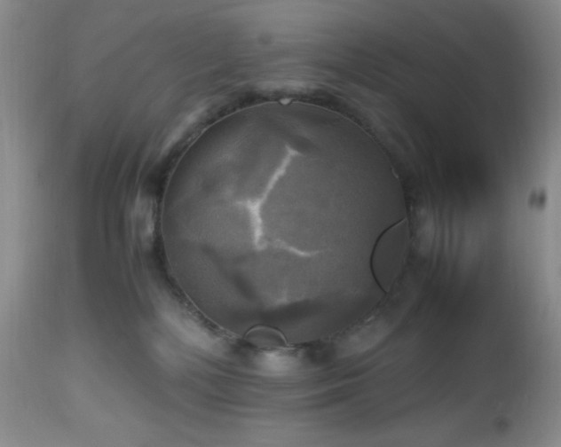 X0000112970232200908271150