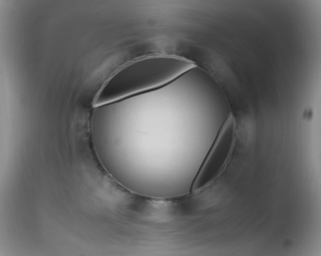 X0000112970233200908271150