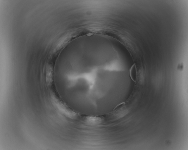 X0000112970234200908271150