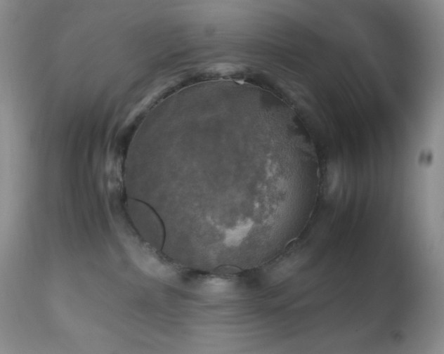 X0000112970236200908271150