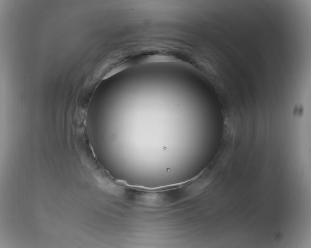 X0000112970237200908271150