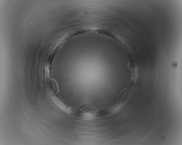 X0000112970238200908271150