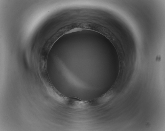 X0000112970239200908271150