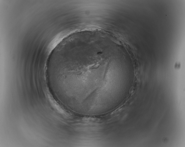 X0000112970242200908271149