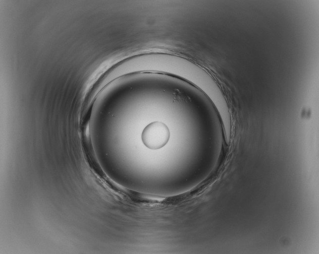 X0000112970244200908271149