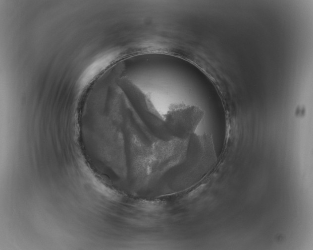 X0000112970245200908271149