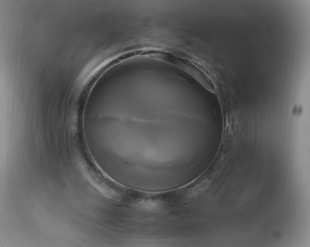 X0000112970247200908271149