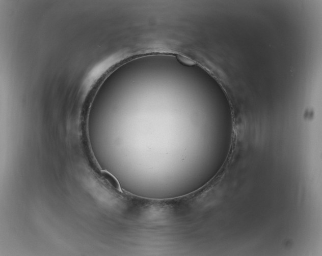 X0000112970248200908271149