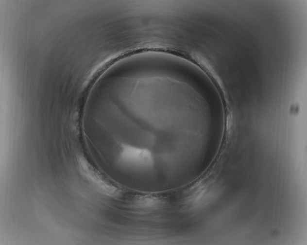 X0000112970249200908271149