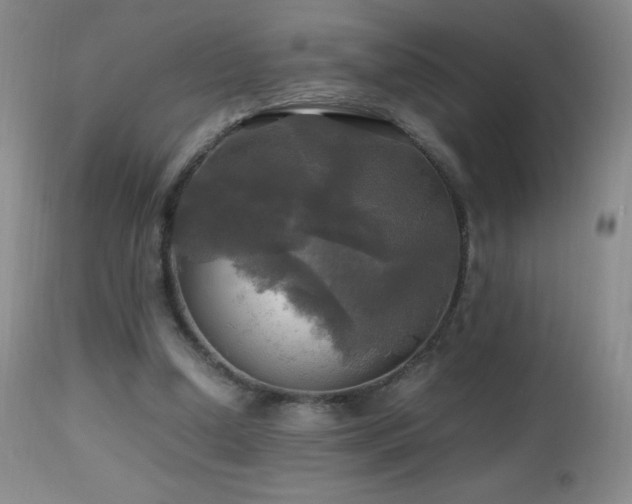 X0000112970250200908271149