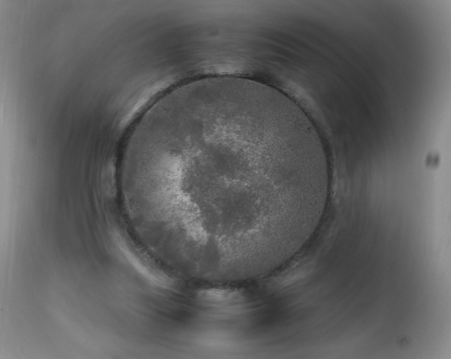 X0000112970251200908271149