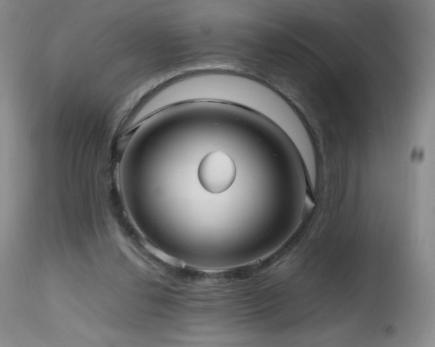 X0000112970252200908271149