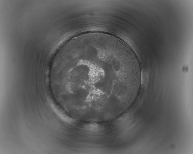 X0000112970253200908271149