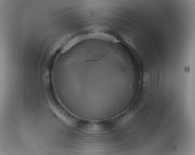 X0000112970254200908271149