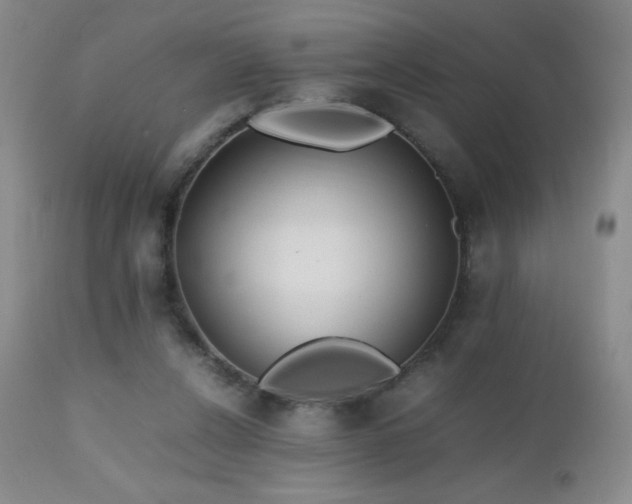 X0000112970256200908271149