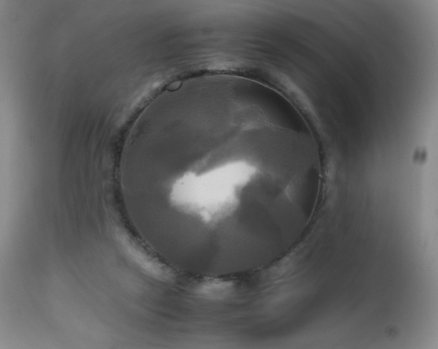 X0000112970257200908271149