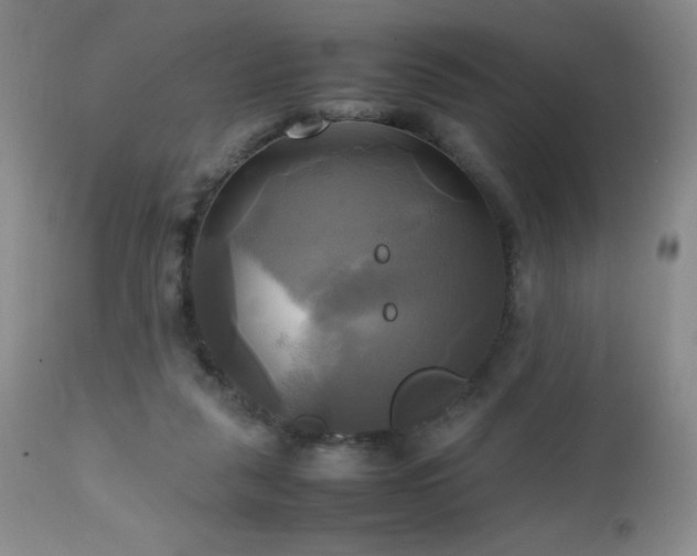 X0000112970259200908271149