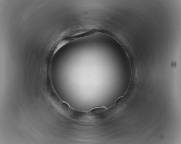 X0000112970260200908271149