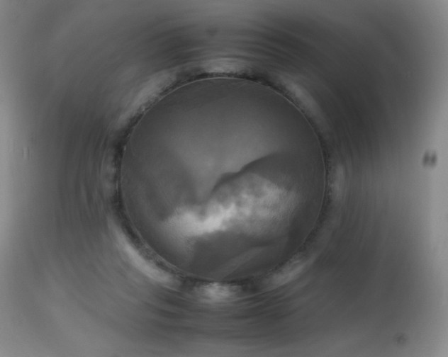 X0000112970261200908271149