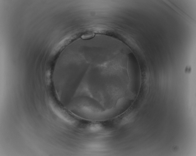 X0000112970262200908271149