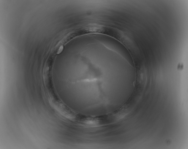 X0000112970263200908271149