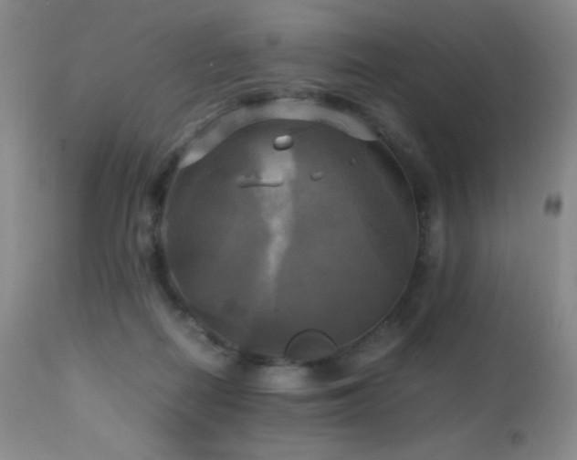 X0000112970266200908271149