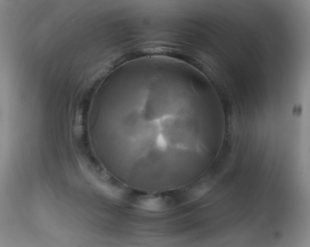 X0000112970267200908271149