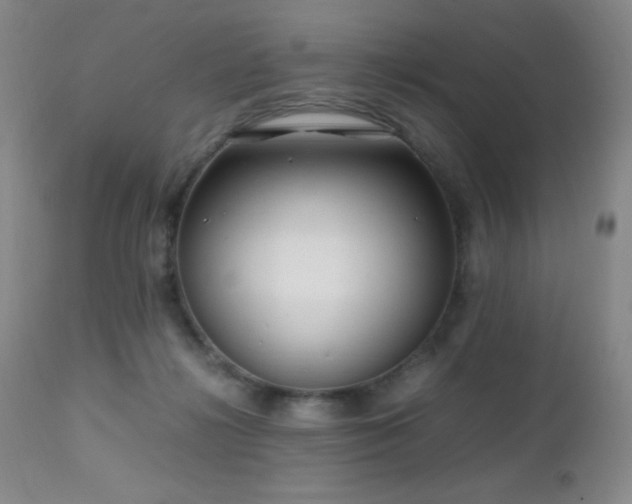 X0000112970268200908271149