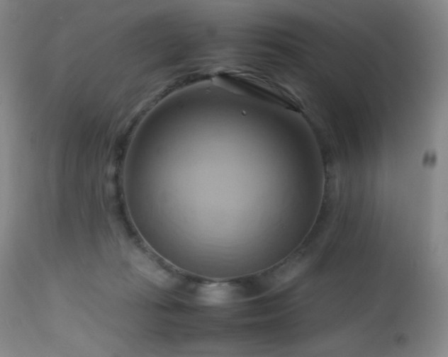 X0000112970269200908271149