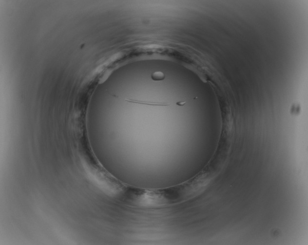 X0000112970270200908271149