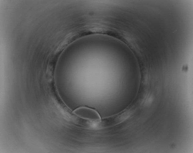 X0000112970273200908271150