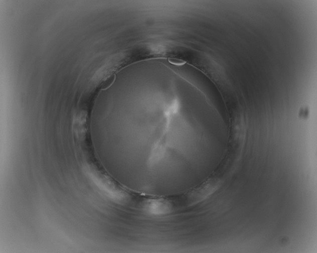 X0000112970275200908271150