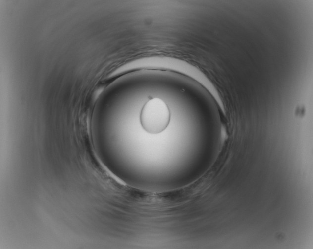 X0000112970276200908271150