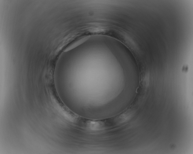 X0000112970277200908271150