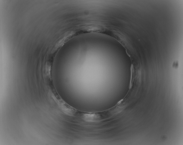 X0000112970281200908271150