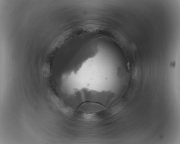 X0000112970283200908271150