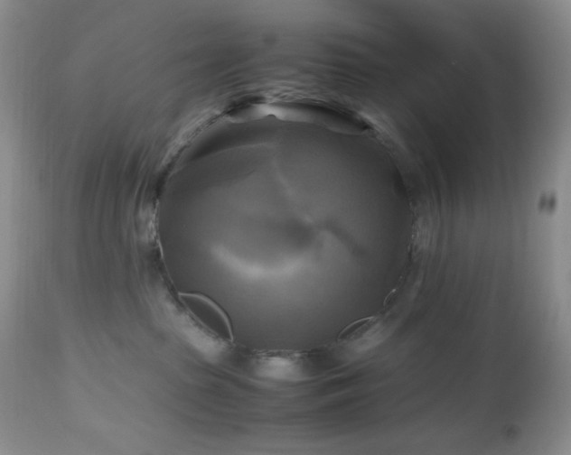 X0000112970285200908271150