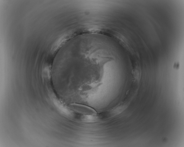 X0000112970286200908271150