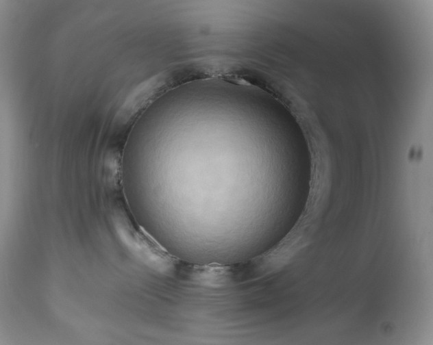 X0000112970288200908271150