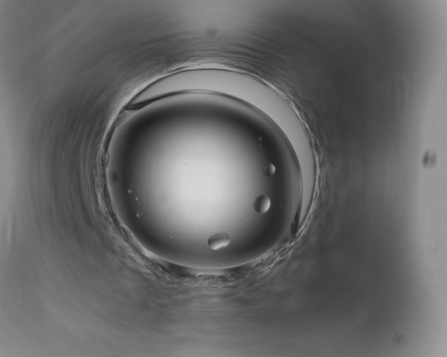 X0000112970289200908271149