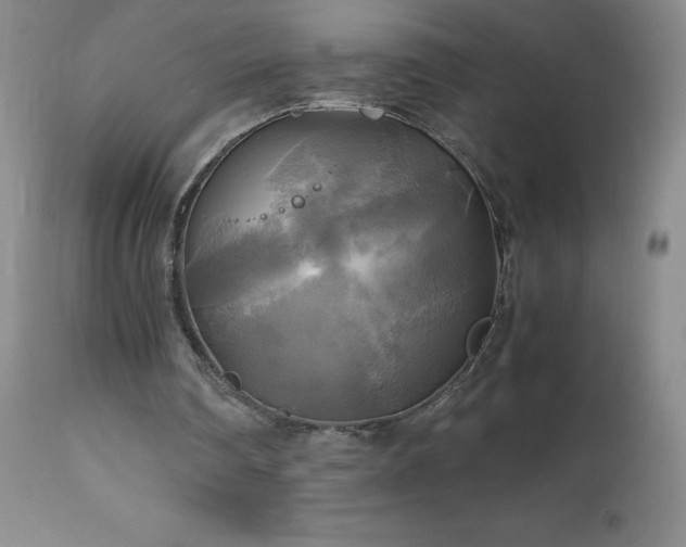 X0000112970290200908271149