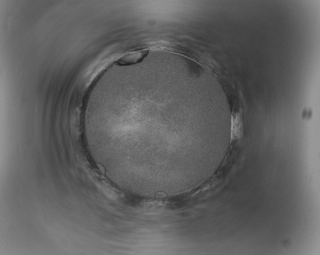 X0000112970291200908271149