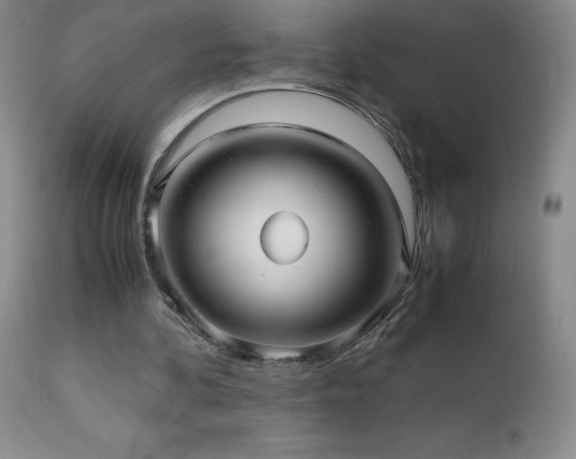 X0000112970292200908271149