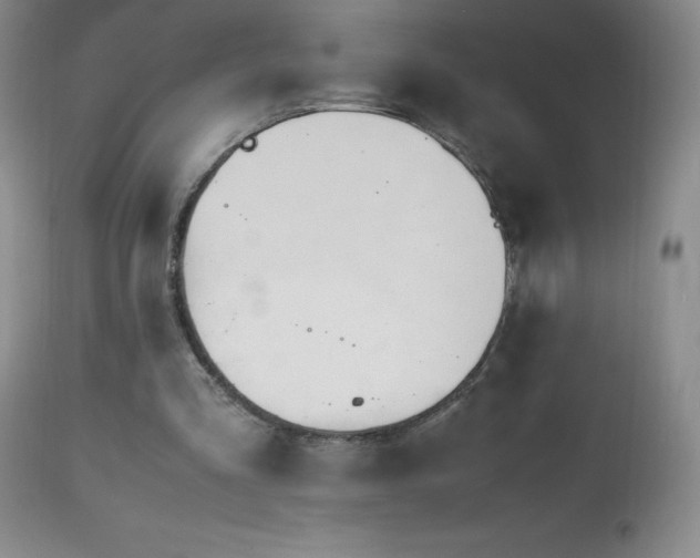 X0000112970293200908271149